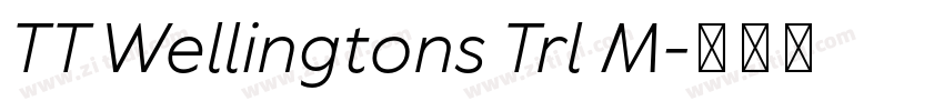TT Wellingtons Trl M字体转换